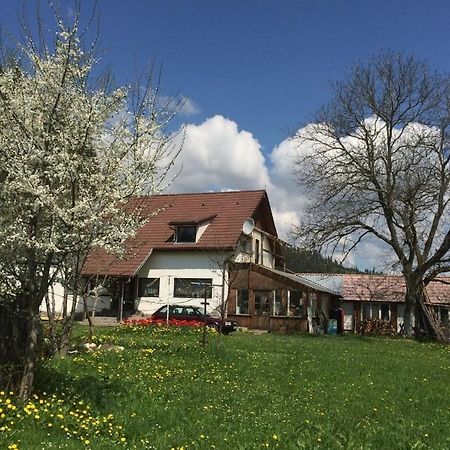 Karacsony Guest House Lunca de Sus ภายนอก รูปภาพ