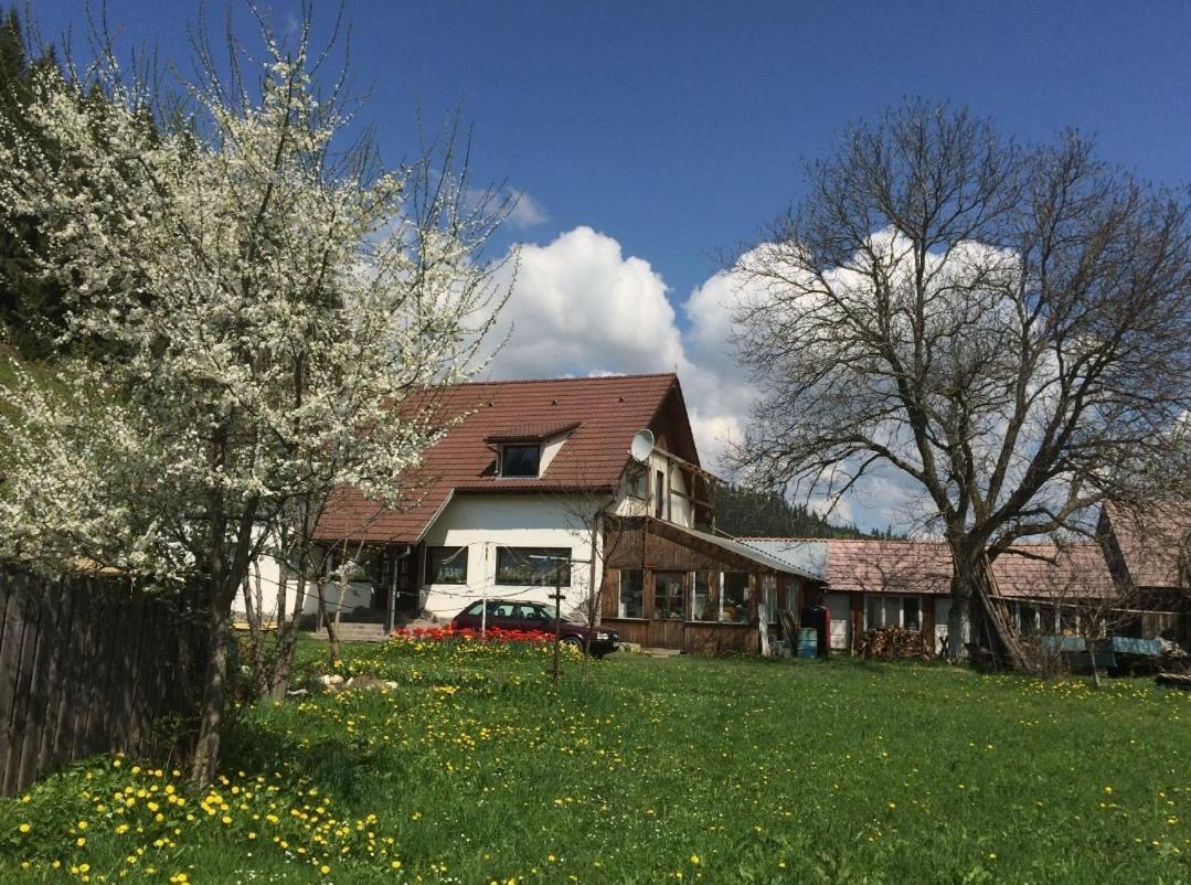 Karacsony Guest House Lunca de Sus ภายนอก รูปภาพ